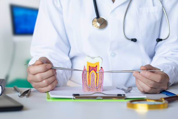 Best Cosmetic Emergency Dentistry in Murfreesboro, AR